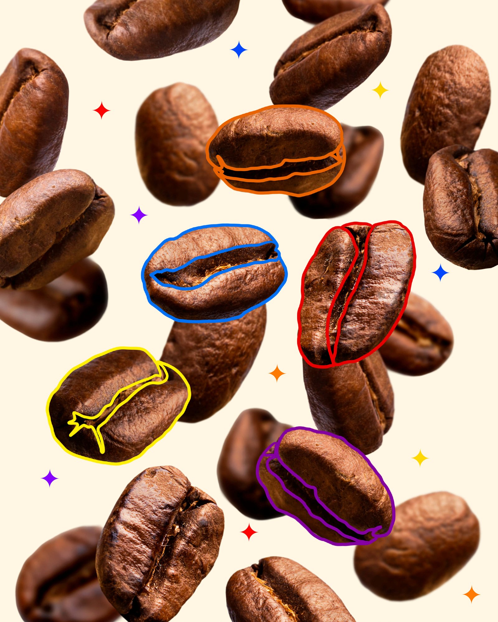 Coffee beans journey